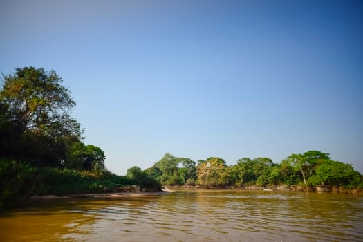 River landscape  and jungle,Pantanal, Brazil photo