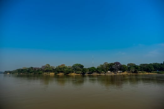 River landscape  and jungle,Pantanal, Brazil photo