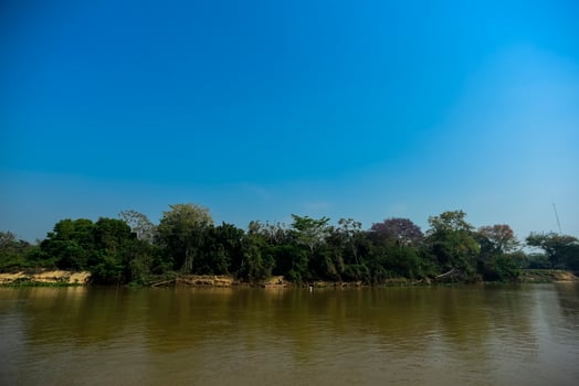 River landscape  and jungle,Pantanal, Brazil photo