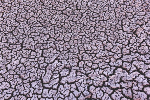 Cracked dry soil, Patagonia, Argentina photo