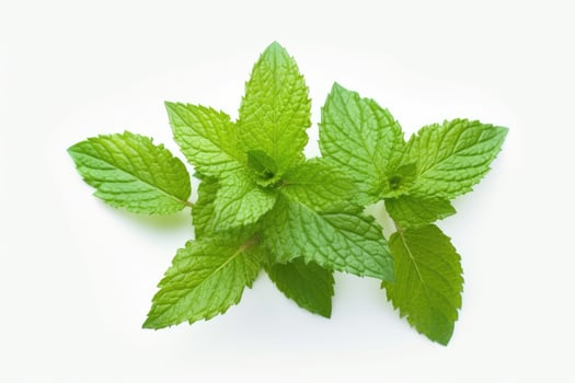 Mint leaves isolated on white background. photo