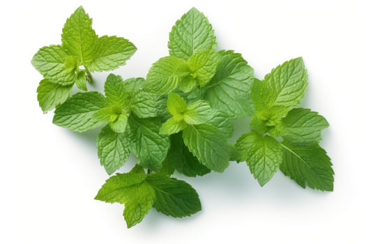 Mint leaves isolated on white background. photo