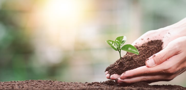 Planting trees reduce global warming,Prevention and treatment air pollution ,Environmental and Ecological Campaign ,Green energy innovation and environmentally friendly energy technology ,saving world photo