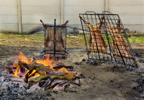 Lamb on the spit photo
