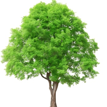 Free isolated tree on white background. ai generations photo