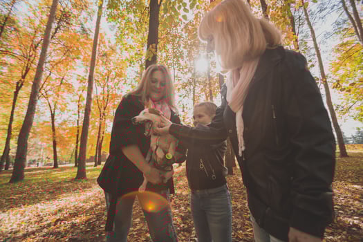 Grandmother and mother with granddaughter having fun with dog in autumn season. Generation, leisure and family concept photo