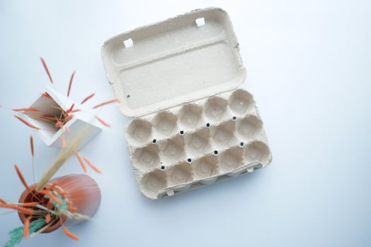 egg carton without eggs on table , photo