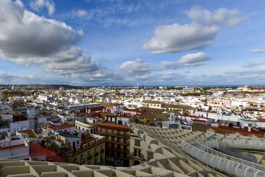 Mushrooms of Seville - Seville, Spain photo