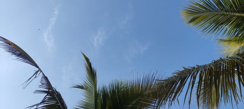 beautiful unedited blue sky photos