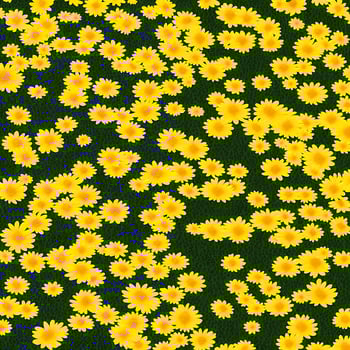 yellow daisy flowers background. flower wallpaper background design. images photo