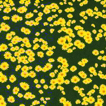 yellow daisy flowers background. flower wallpaper background design. images photo