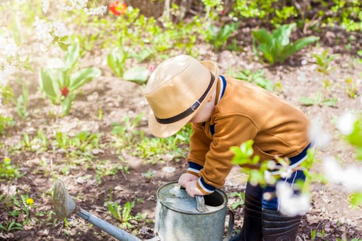 Cute little toddler boy in a hat and rubber boots is watering plants with a watering can in the garden. A charming little kid helping his parents grow vegetables. photo