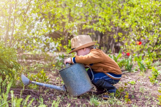 Cute little toddler boy in a hat and rubber boots is watering plants with a watering can in the garden. A charming little kid helping his parents grow vegetables. photo