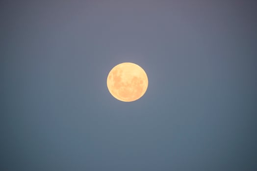 Blood moon, eclipse seen from, La Pampa,January 21, 2019   Argentina photo