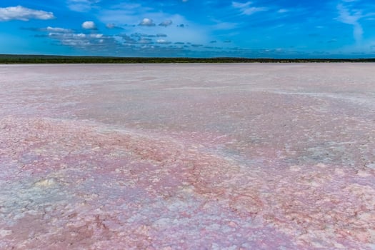 Salt field in Dunaliella Salina, Argentina photo
