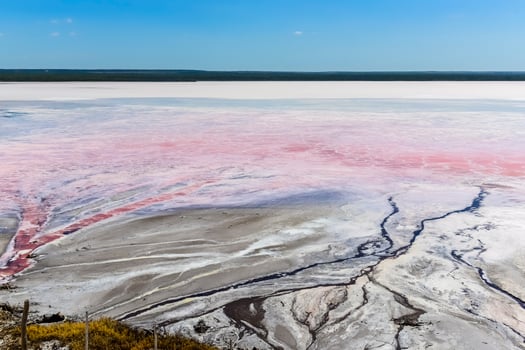 Salt field in Dunaliella Salina, Argentina photo