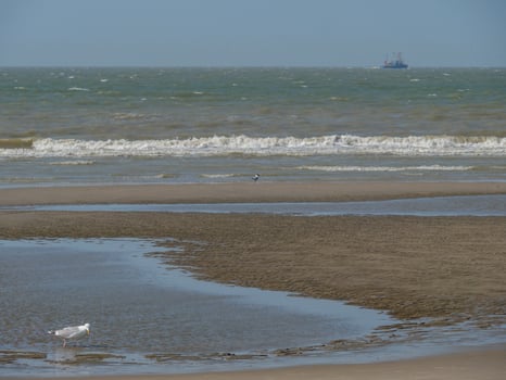 the beach of De Haan at the north sea photo