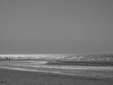the beach of De Haan at the north sea photo