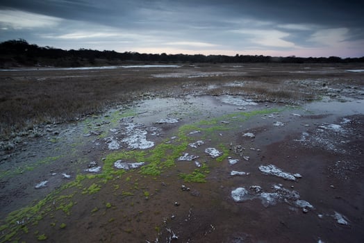 Saltpeter on the floor of a lagoon in a semi desert environment, La Pampa province, Patagonia, Argentina. photo