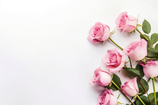 Close up of blooming pink roses flowers and petals isolated on white table background. Floral frame composition. Decorative web banner. Empty space, flat lay, top view. photo