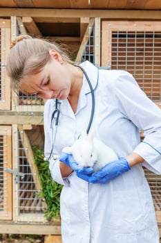 Happy young veterinarian woman with stethoscope holding and examining rabbit on ranch background. Bunny in vet hands for check up in natural eco farm. Animal care and ecological farming concept. photo