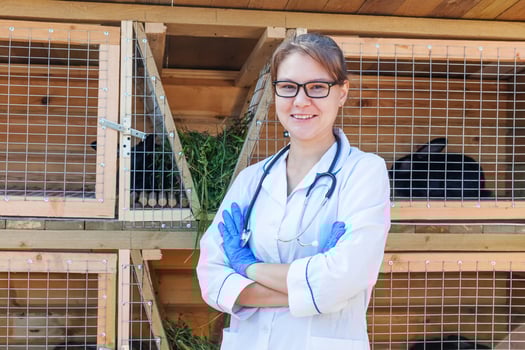 Veterinarian woman with stethoscope on barn ranch background. Vet doctor check up rabbit in natural eco farm. Animal care and ecological livestock farming concept. photo