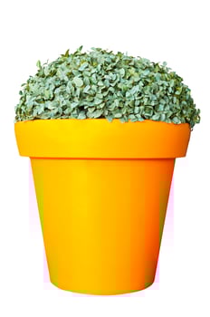 Plastic pots of orange colour. photo