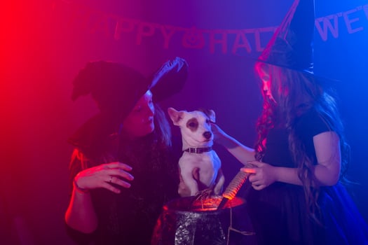 Two halloween witches making magic in halloween night. Magic, holidays and mystic concept. photo