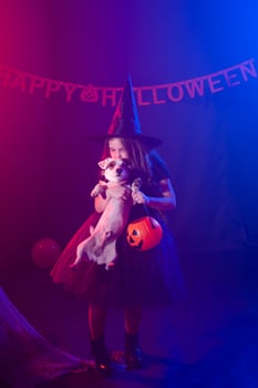Funny child girl in witch costume for Halloween with pumpkin Jack and dog. photo