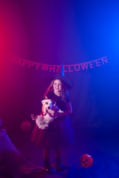 Funny child girl in witch costume for Halloween with pumpkin Jack and dog. photo