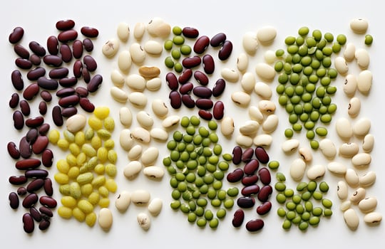 various types of beans on a white background. top view. photo