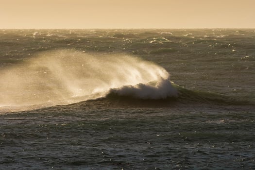Waves with strong wind after a storm, Patagonia, Argentina. photo