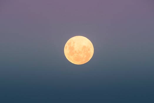 Blood moon, eclipse seen from, La Pampa,January 21, 2019   Argentina photo