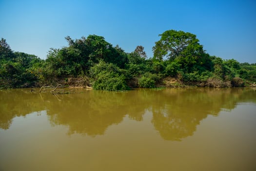 Brazilian Pantanal landscape view photo