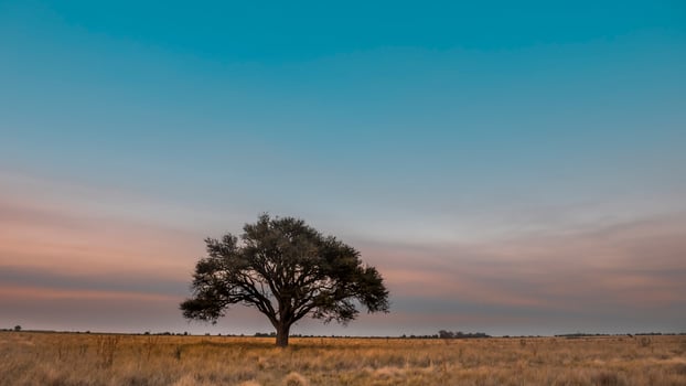 Landscape Las Pampas, Argentina photo