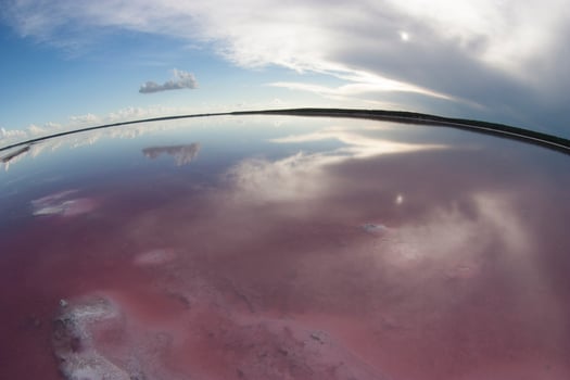 Salt field in Dunaliella Salina, Argentina photo