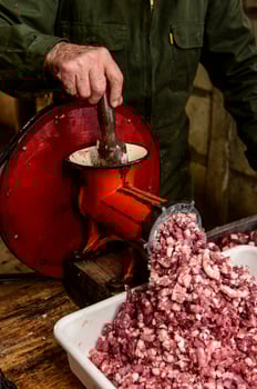 Minced meat, sausage traditional preparation, Pampas, Argentina photo