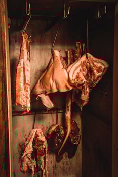 Handmade sausage preparation, Argentine tradition, Pampas, Patagonia photo