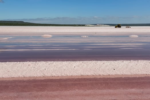 Salt field in Dunaliella Salina, Argentina photo