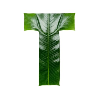 Green leaf typography text design uppercase alphabet T, photo
