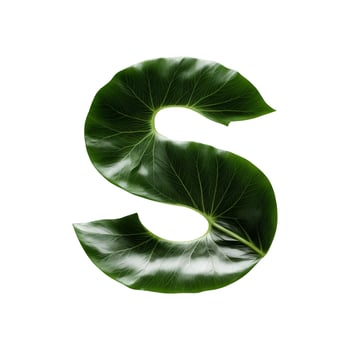 Green leaf typography text design uppercase alphabet S, photo