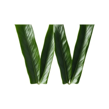 Green leaf typography text design lowercase alphabet w photo