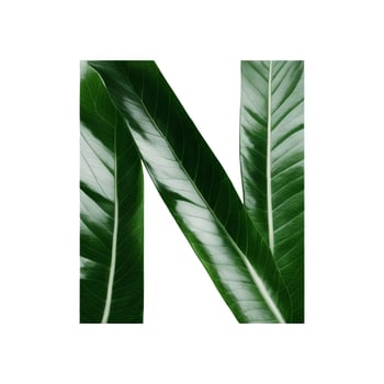 Green leaf typography text design uppercase alphabet N, photo