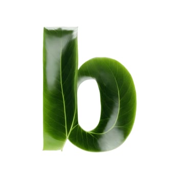 Green leaf typography text design lowercase alphabet b, photo