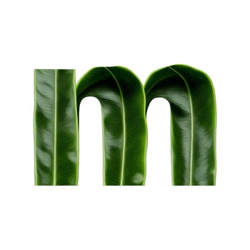 Green leaf typography text design lowercase alphabet m, photo