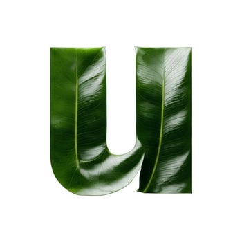 Green leaf typography text design lowercase alphabet u, photo