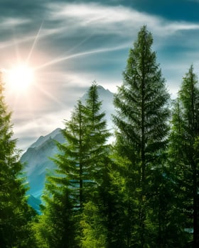 Photo Of Trees And Mountain