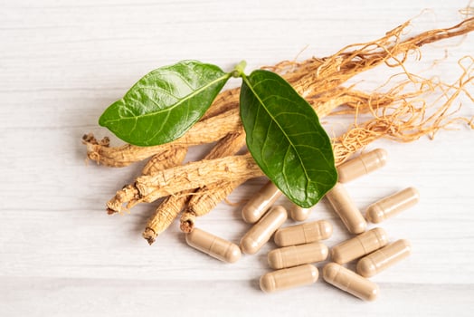 Ginseng, dried vegetable herb. Healthy food famous export food in Korea country. photo