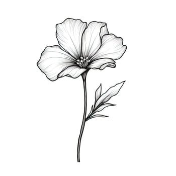 leaf Periwinkle flower photo
