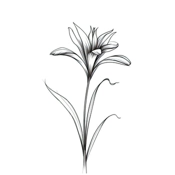 safran saffron aesthetic photo